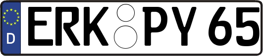 ERK-PY65