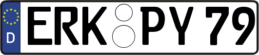 ERK-PY79