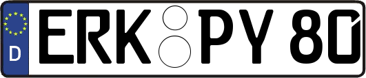 ERK-PY80