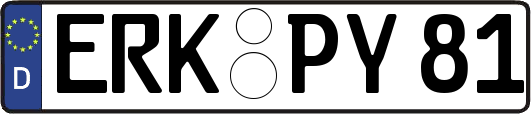 ERK-PY81