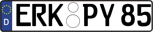 ERK-PY85