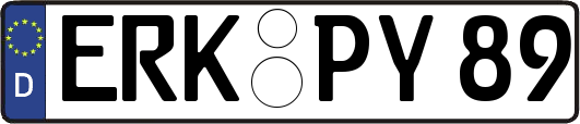 ERK-PY89