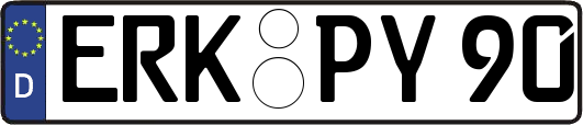 ERK-PY90