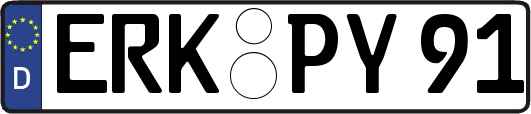 ERK-PY91
