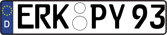 ERK-PY93