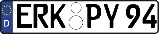 ERK-PY94