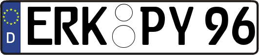 ERK-PY96