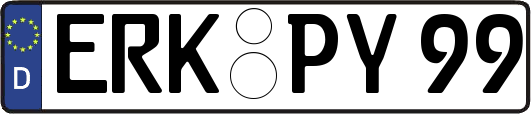 ERK-PY99
