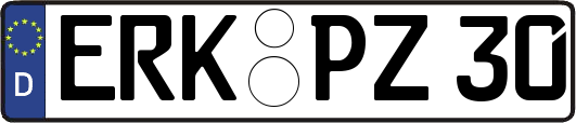 ERK-PZ30