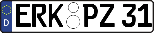 ERK-PZ31