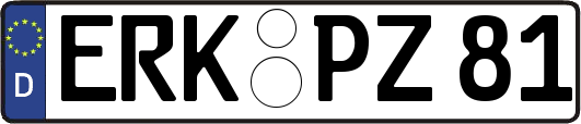ERK-PZ81