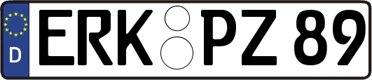 ERK-PZ89