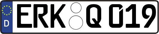 ERK-Q019