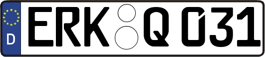 ERK-Q031
