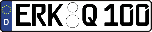 ERK-Q100