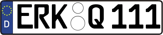 ERK-Q111