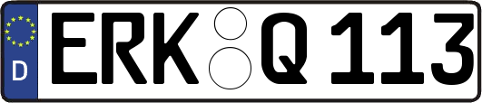 ERK-Q113