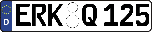ERK-Q125