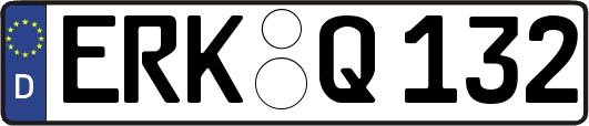 ERK-Q132
