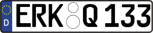 ERK-Q133