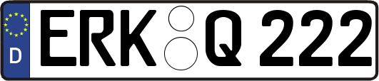 ERK-Q222