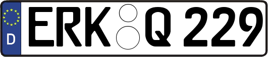 ERK-Q229
