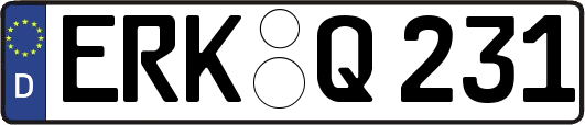 ERK-Q231
