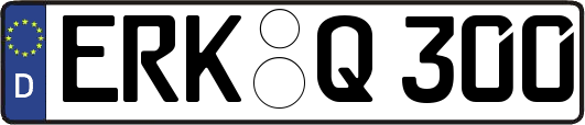 ERK-Q300