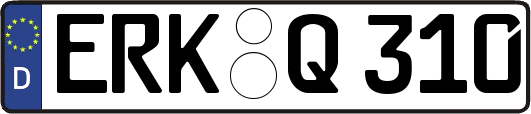 ERK-Q310