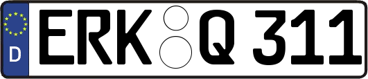 ERK-Q311