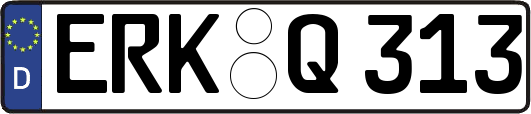 ERK-Q313