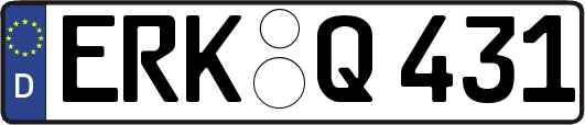 ERK-Q431