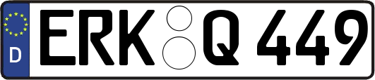 ERK-Q449