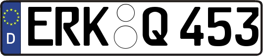 ERK-Q453