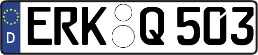 ERK-Q503