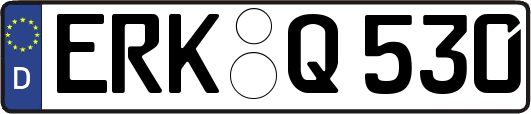 ERK-Q530