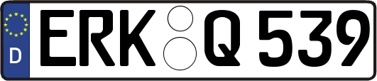ERK-Q539