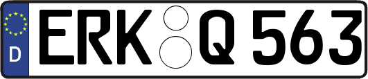 ERK-Q563