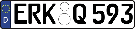 ERK-Q593