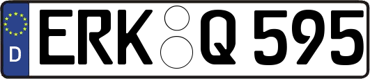 ERK-Q595