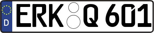 ERK-Q601