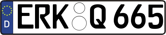 ERK-Q665