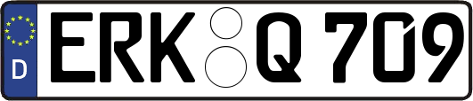ERK-Q709