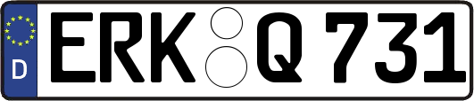 ERK-Q731