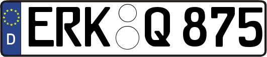 ERK-Q875