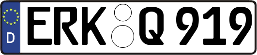 ERK-Q919