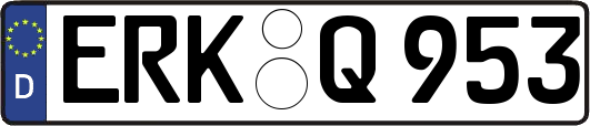 ERK-Q953