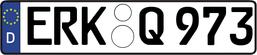 ERK-Q973