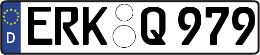 ERK-Q979