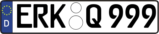 ERK-Q999